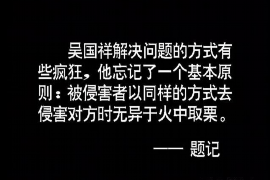 金湖为什么选择专业追讨公司来处理您的债务纠纷？